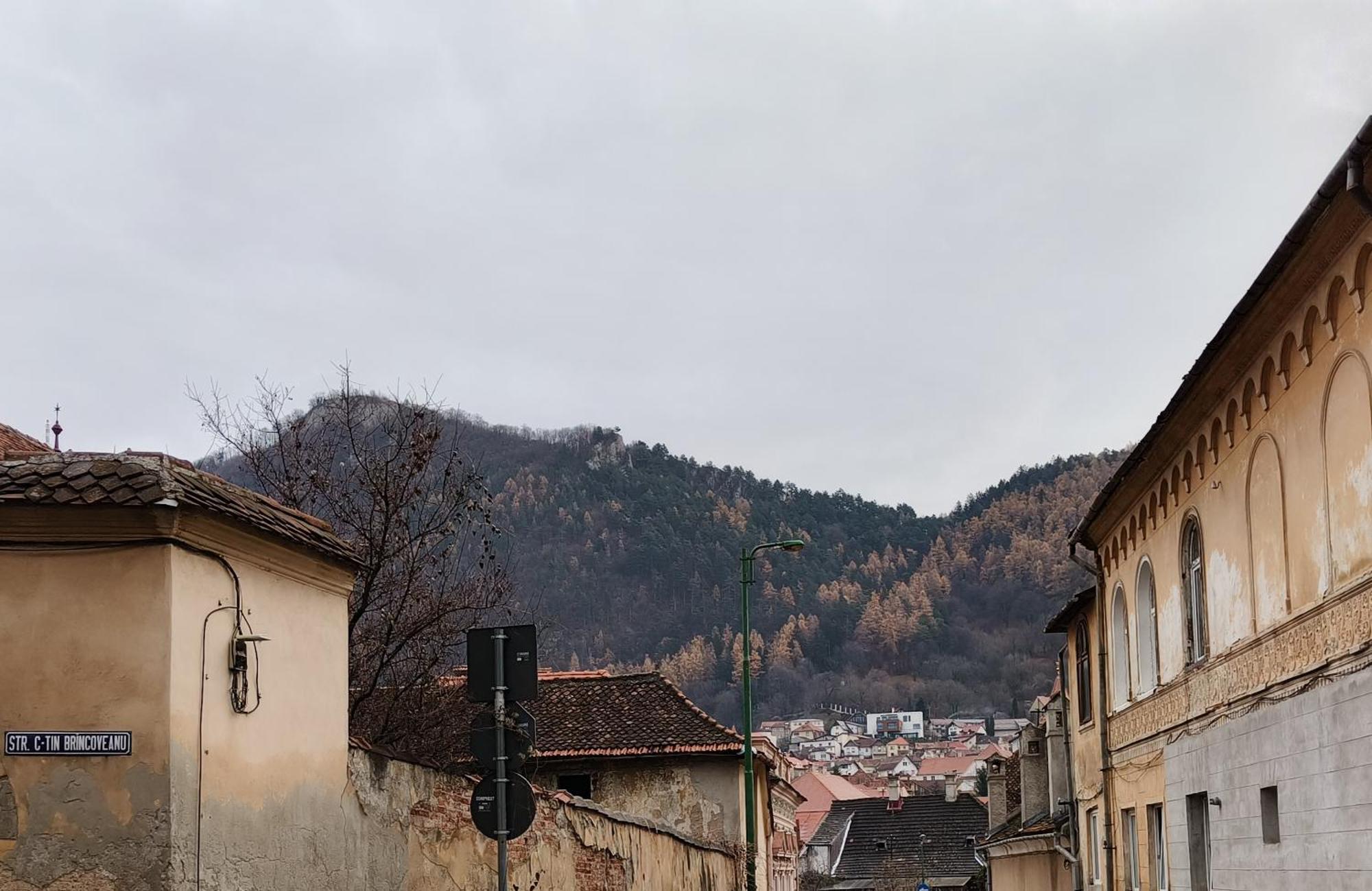 Golden Greens Studio - Mountain Scenery Braşov Exterior foto